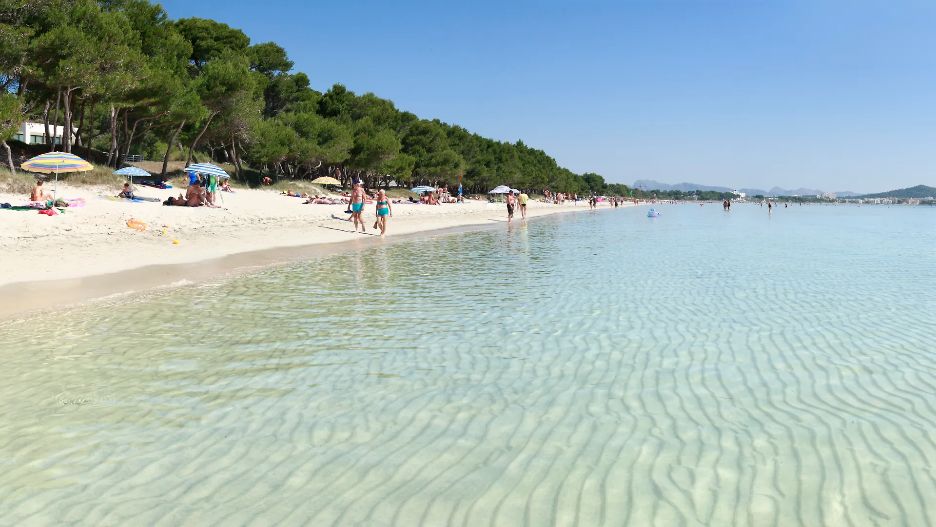 Js Sol De Alcudia Hotel Port de Alcudia